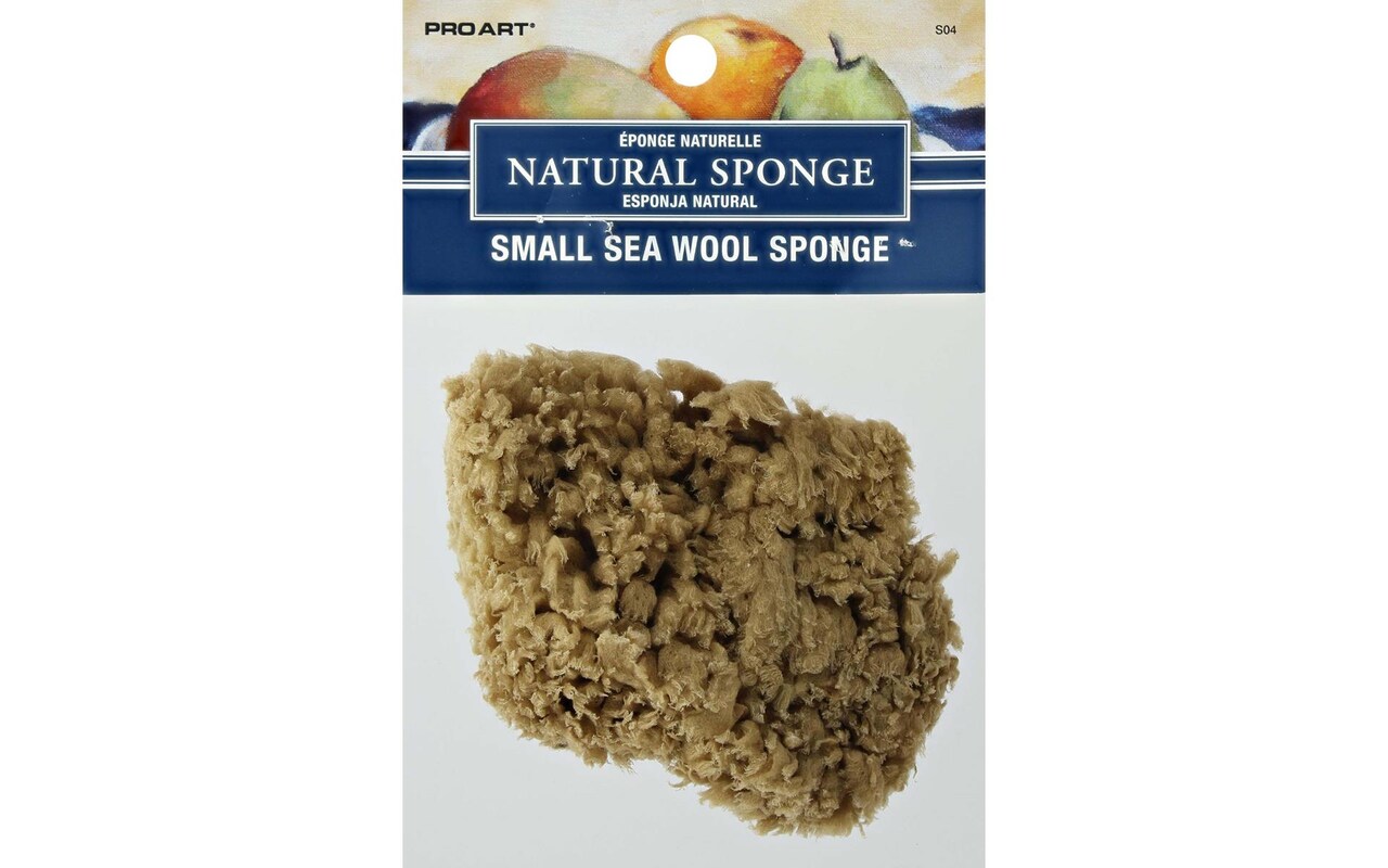 Pro Art Sponge Natural Sea Wool 2-3 Small